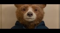 'Paddington in Peru' trailer