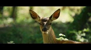 'Bambi: A Tale of Life in the Woods' Trailer