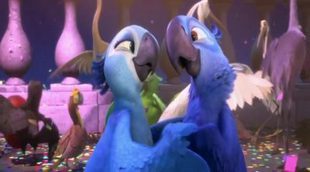 Trailer 'Rio 2' #2