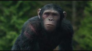 TV Spot 'Dawn of the Planet of the Apes' #3