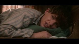 Trailer 'The Theory of Everything'