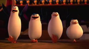 'The Penguins of Madagascar' Trailer #2