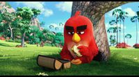 'Angry Birds' Teaser