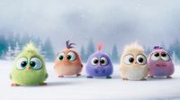 'Angry Birds' wish you a Merry Christmas