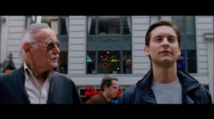 Stan Lee's Cameo in 'Spider-Man 3' (2007)