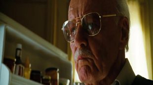 Stan Lee's Cameo in 'The Incredible Hulk' (2008)