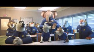 Giant elephant in the room 'Zootopia' clip