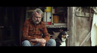 'Hunt for the Wilderpeople' trailer