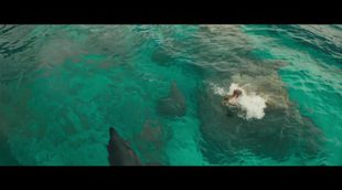 'The Shallows' International Teaser